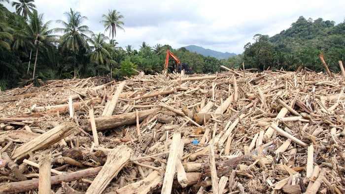 Temuan gelondongan kayu yang diduga terkait bencana lingkungan
